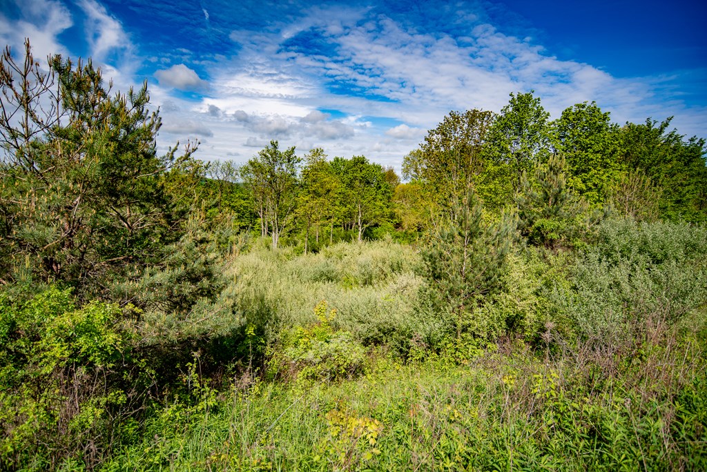 01 Stacey Rd, Parker, Pennsylvania image 7
