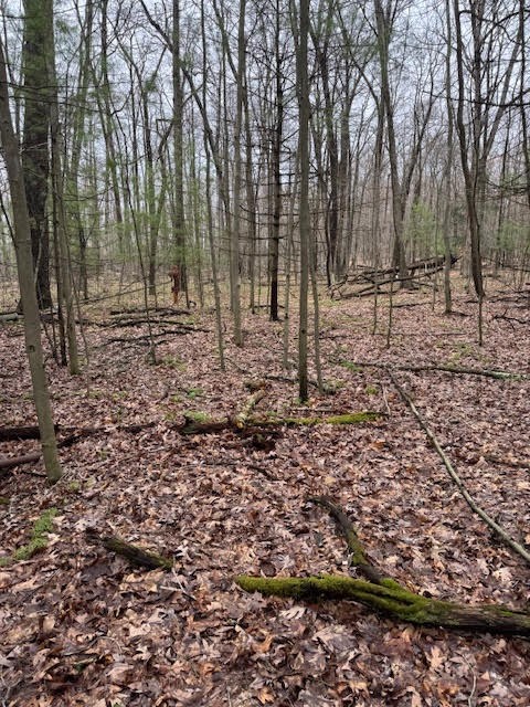 000 Fisher Road, Sigel, Pennsylvania image 5