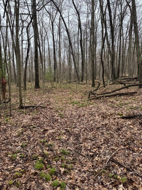 000 Fisher Road, Sigel, Pennsylvania image 6