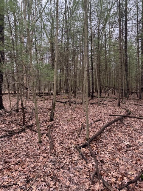 000 Fisher Road, Sigel, Pennsylvania image 7