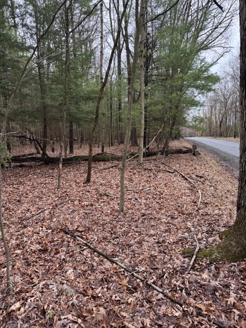 000 Fisher Road, Sigel, Pennsylvania image 3