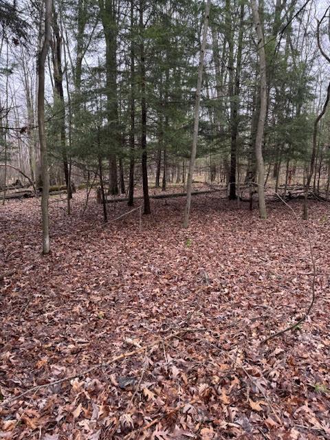 000 Fisher Road, Sigel, Pennsylvania image 1