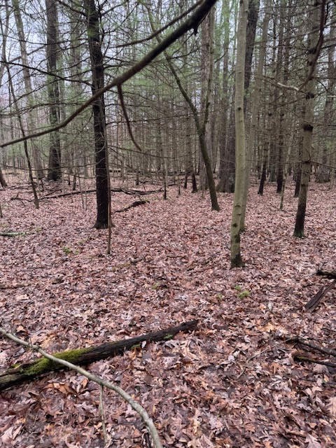 000 Fisher Road, Sigel, Pennsylvania image 4