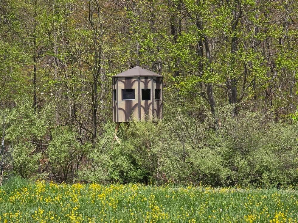 Lower Mudlic Rd, Mayport, Pennsylvania image 9