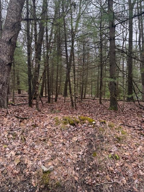000 Iron Bridge Road, Clarington, Pennsylvania image 1