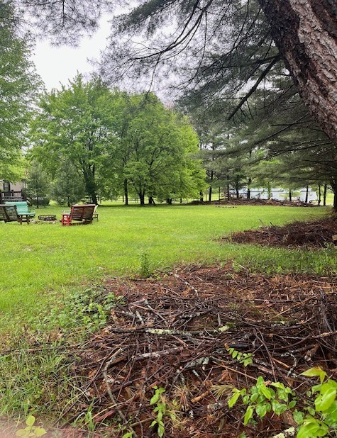 123 Hickory Lane, Tionesta, Pennsylvania image 21