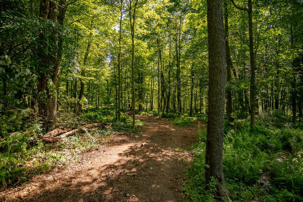 Lot # 1 County Line Road, Venus, Pennsylvania image 1