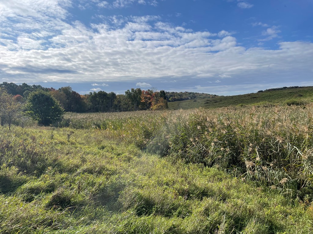 00 Eakin Rd, Emlenton, Pennsylvania image 17