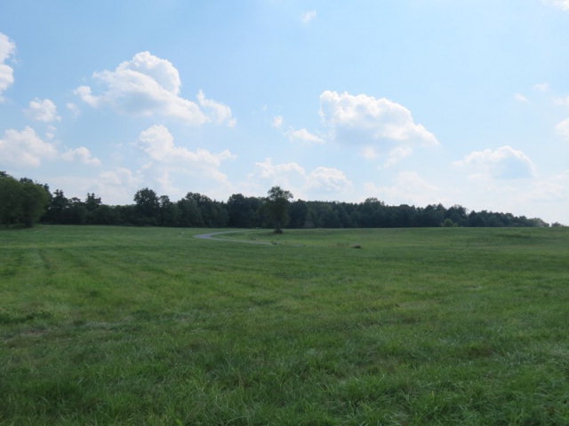 Lot 38 Meadow Drive, Saegertown, Tennessee image 12