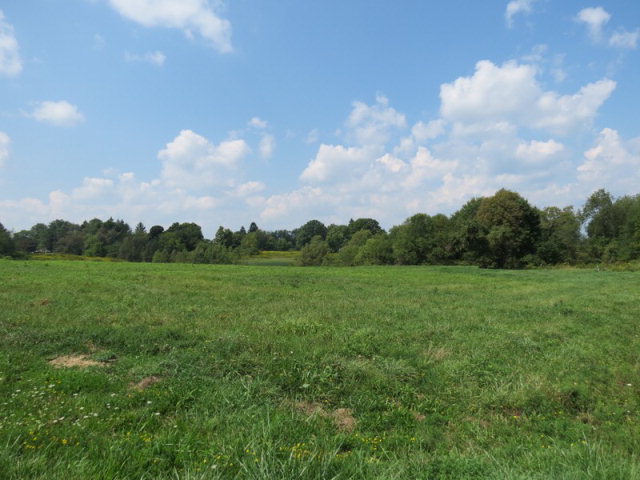 Lot 38 Meadow Drive, Saegertown, Tennessee image 3