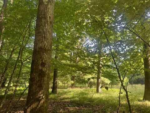 Vacant Land For Sale - Neiltown Road<br/> Forest County, Pleasantville, PA 16341