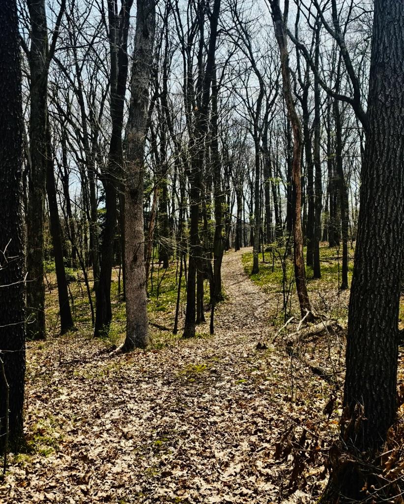 4289 Route 338, Knox, Pennsylvania image 38
