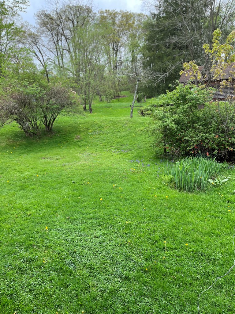 513 Mendenhall Ave, Knox, Pennsylvania image 18