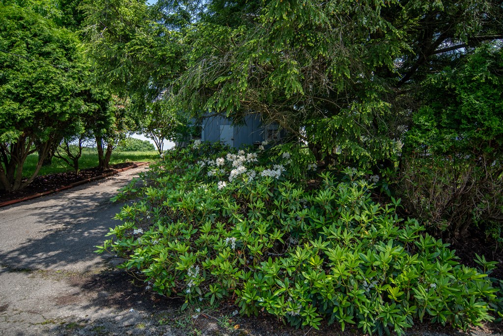 114 N School Street, Shippenville, Pennsylvania image 38