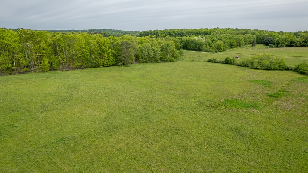 1158 Burns Road, Venus, Pennsylvania image 8