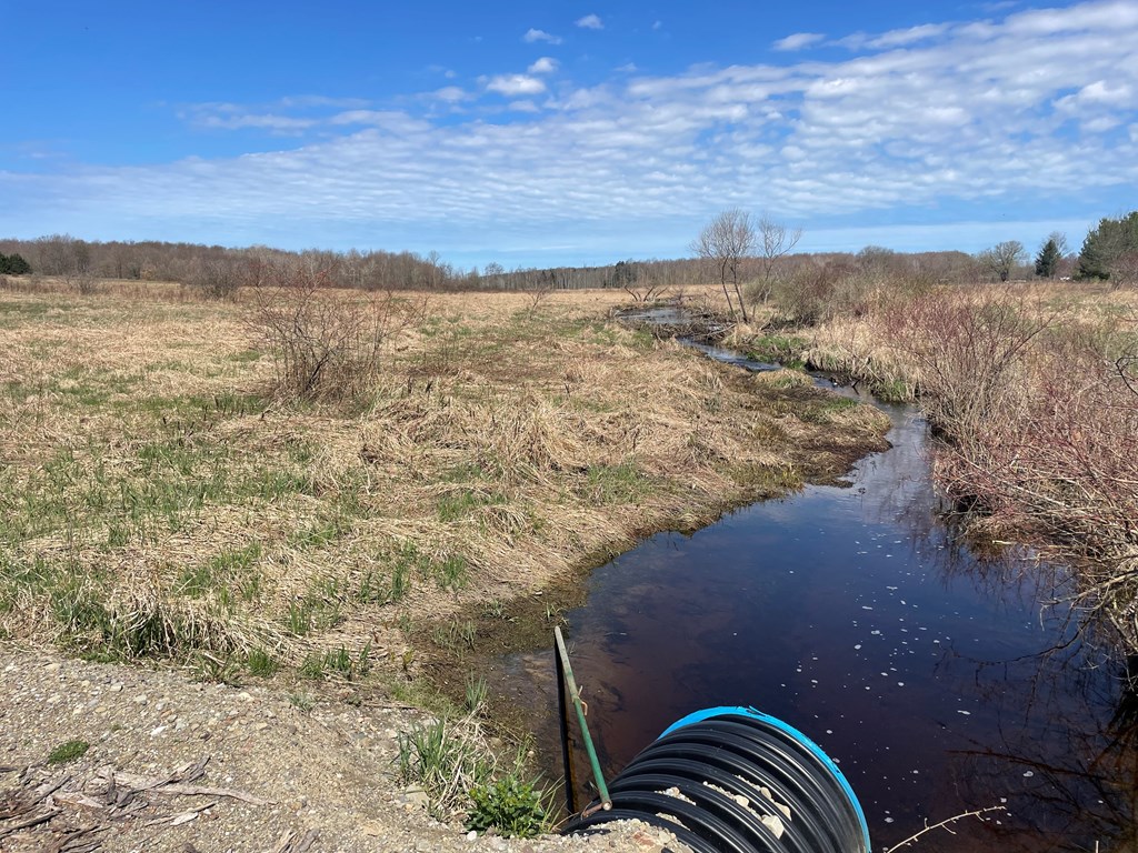 Silverthorn Rd, Edinboro, Pennsylvania image 11