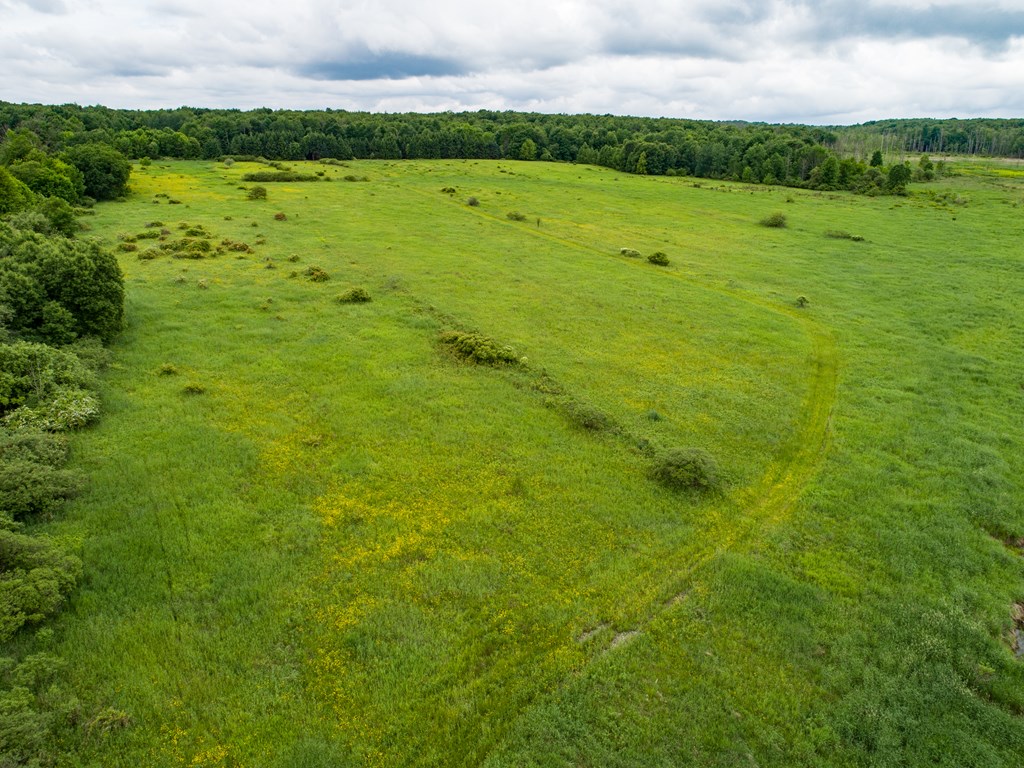 Silverthorn Rd, Edinboro, Pennsylvania image 8