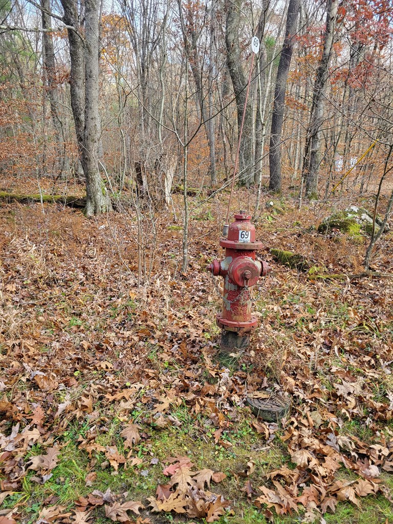 Hollow Lane, Leeper, Pennsylvania image 5