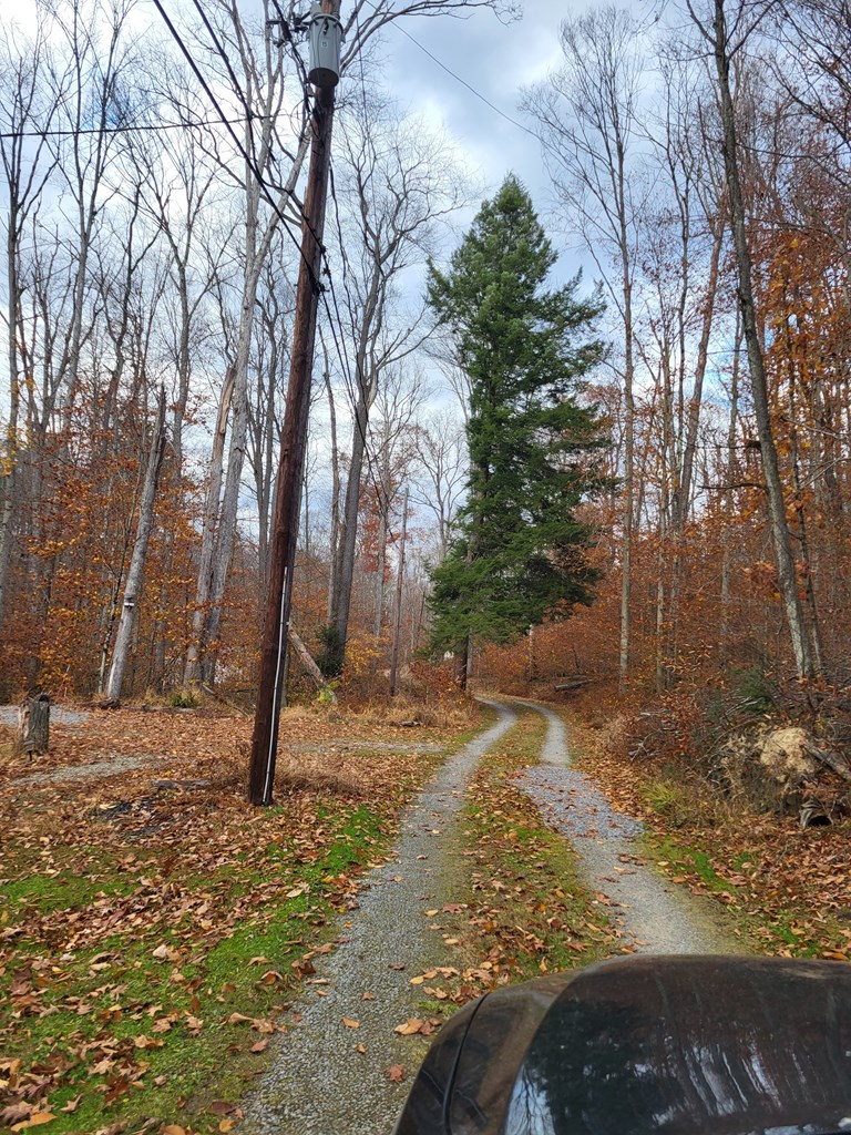 Hollow Lane, Leeper, Pennsylvania image 6