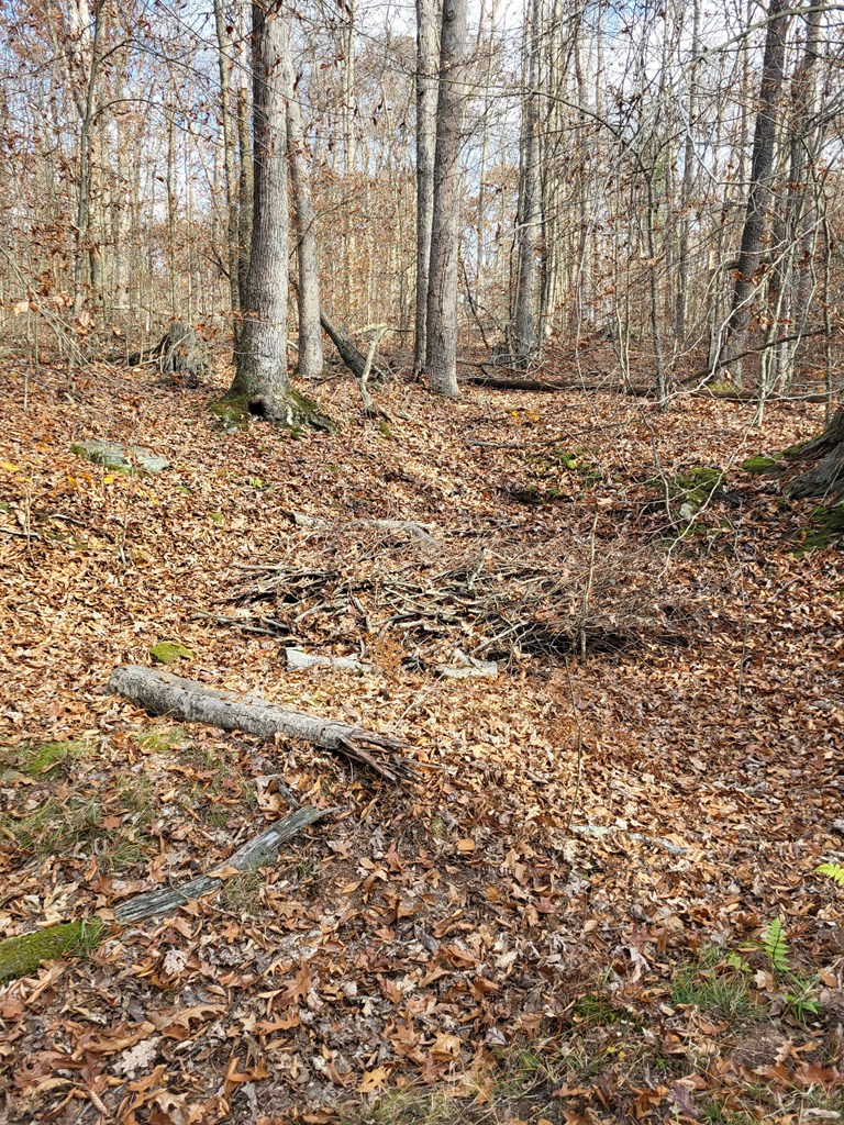 Hollow Lane, Leeper, Pennsylvania image 4