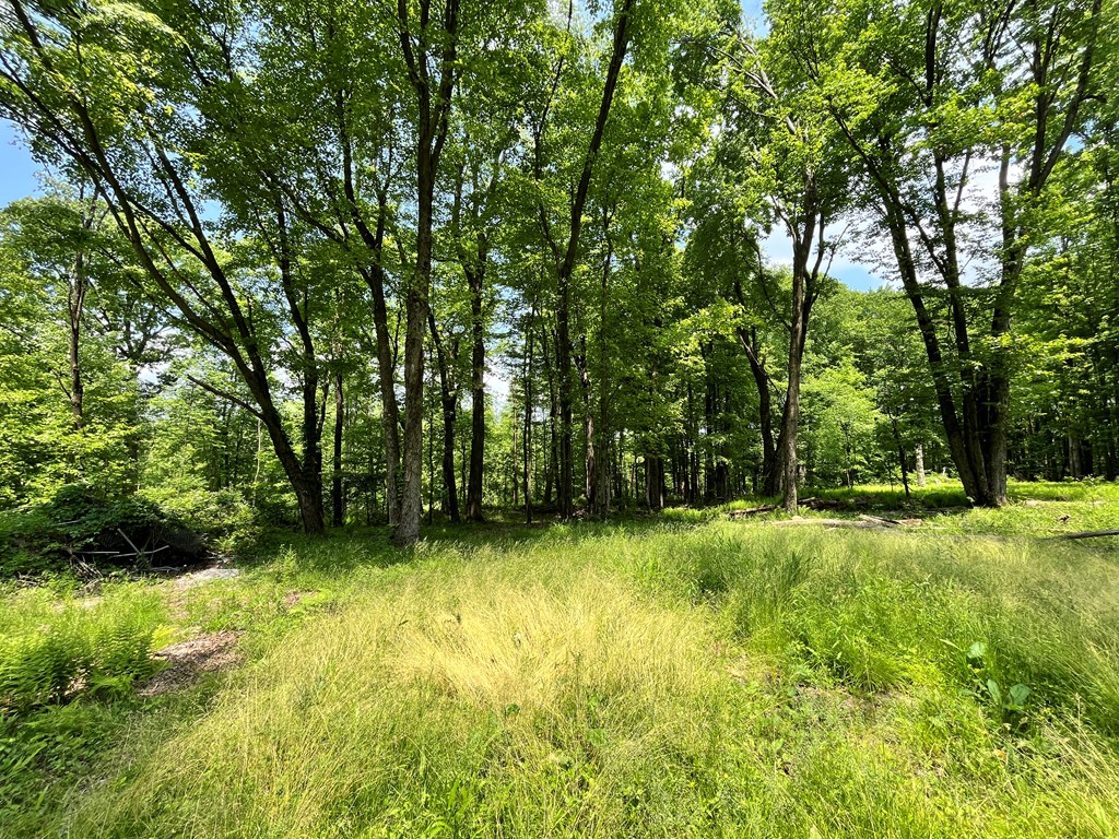 144 Sanford Road, Franklin, Pennsylvania image 18