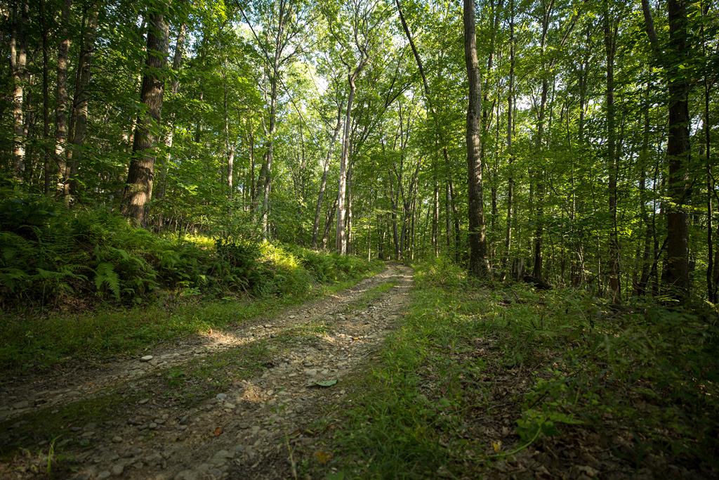 318 Upper Lease Rd, West Hickory MLS 158329 Berkshire Hathaway