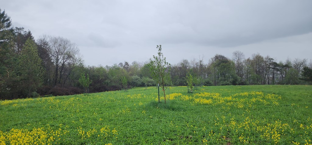 Lower Mudlic Rd, Mayport, Pennsylvania image 18