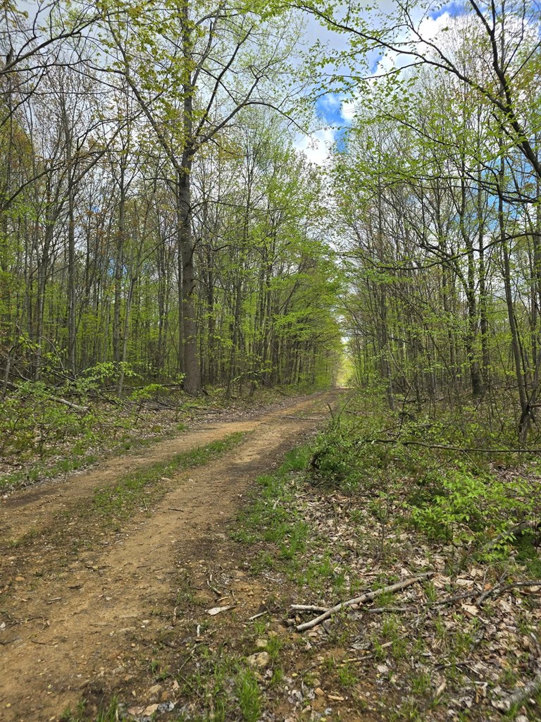 Lower Mudlic Rd, Mayport, Pennsylvania image 6