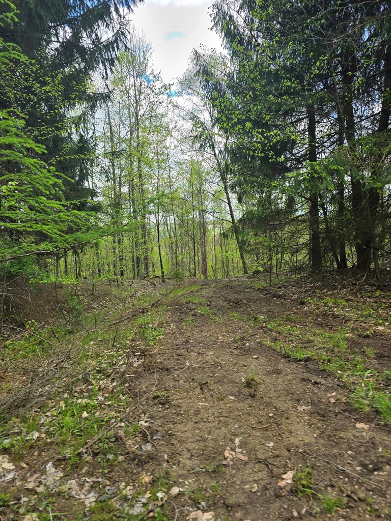Lower Mudlic Rd, Mayport, Pennsylvania image 29