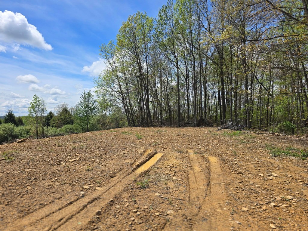 Lower Mudlic Rd, Mayport, Pennsylvania image 12