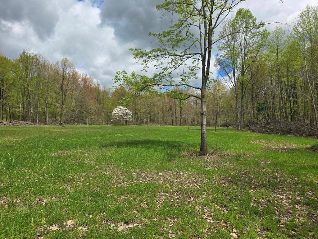 Lower Mudlic Rd, Mayport, Pennsylvania image 20
