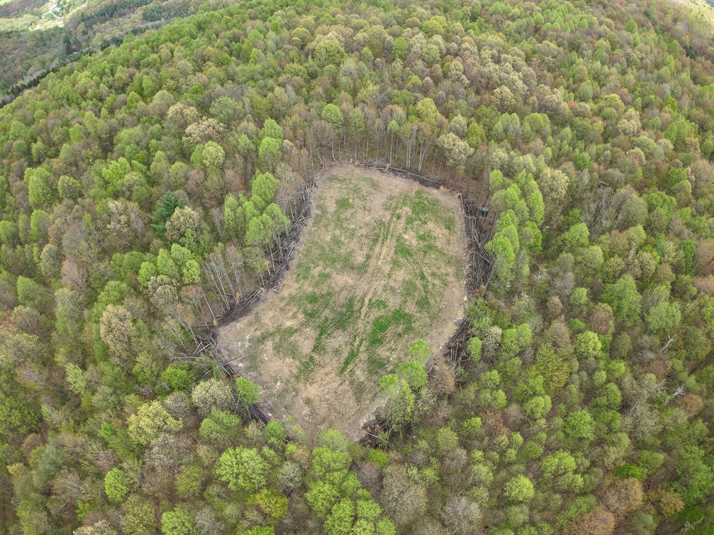 Lower Mudlic Rd, Mayport, Pennsylvania image 9
