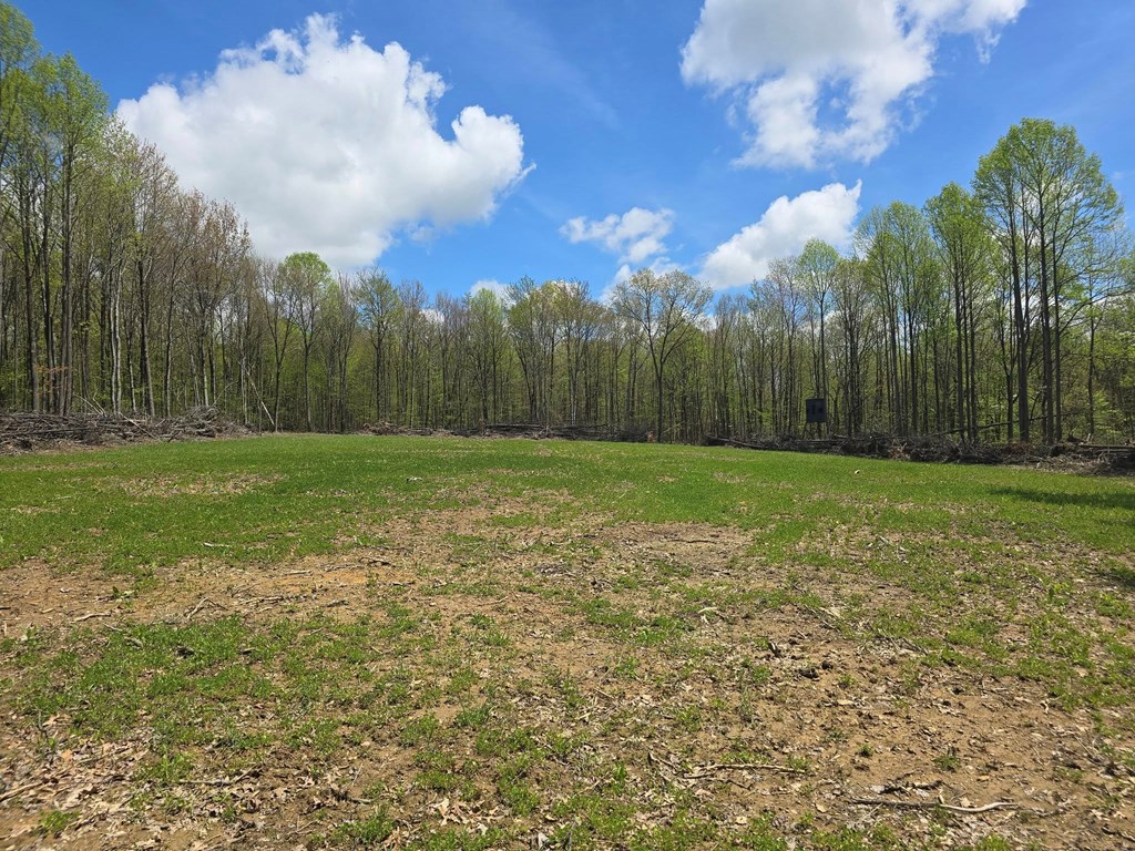 Lower Mudlic Rd, Mayport, Pennsylvania image 11