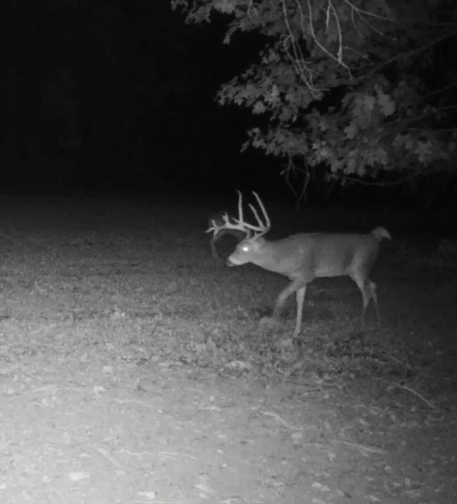 Lower Mudlic Rd, Mayport, Pennsylvania image 33