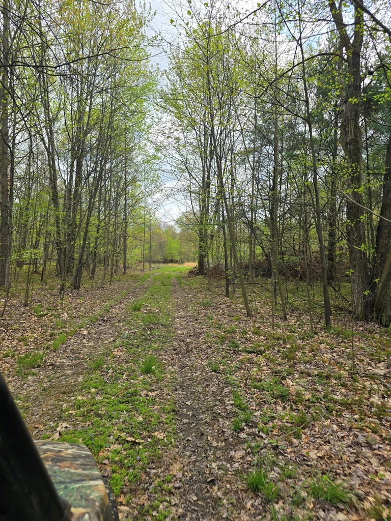 Lower Mudlic Rd, Mayport, Pennsylvania image 27