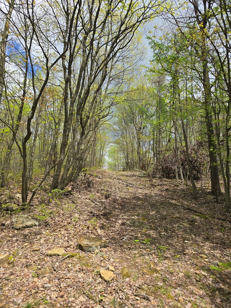 Lower Mudlic Rd, Mayport, Pennsylvania image 26