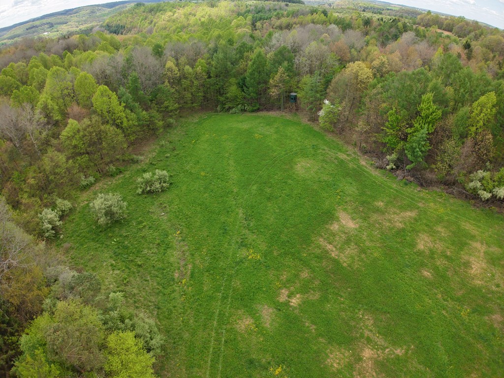 Lower Mudlic Rd, Mayport, Pennsylvania image 22