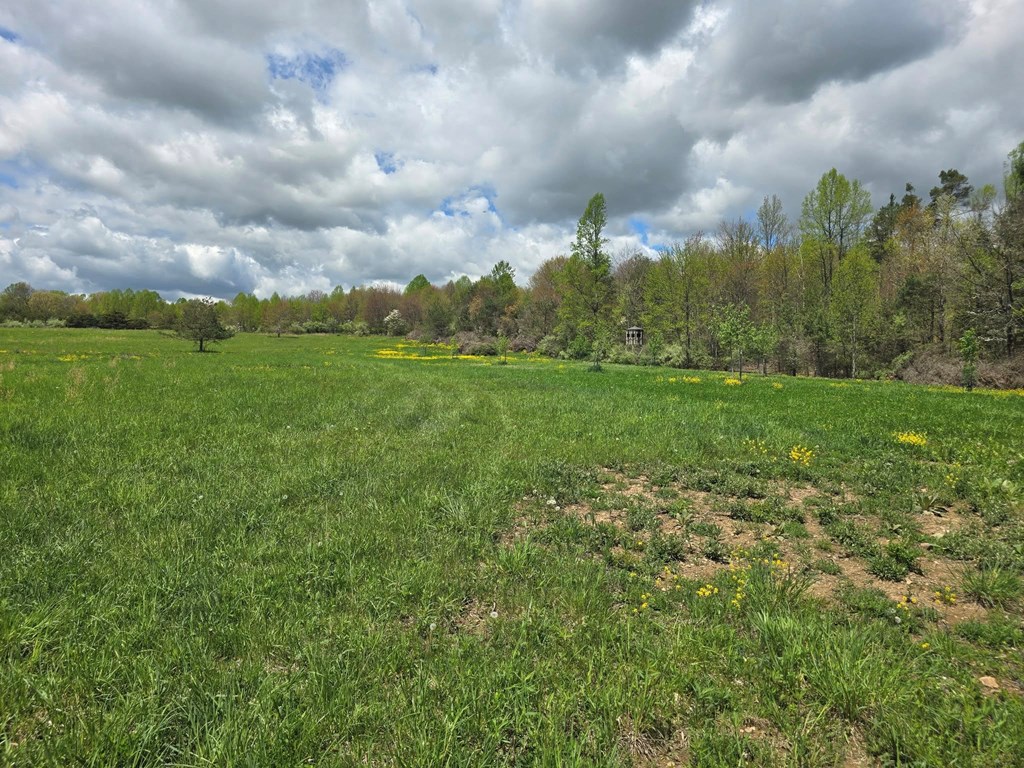 Lower Mudlic Rd, Mayport, Pennsylvania image 15