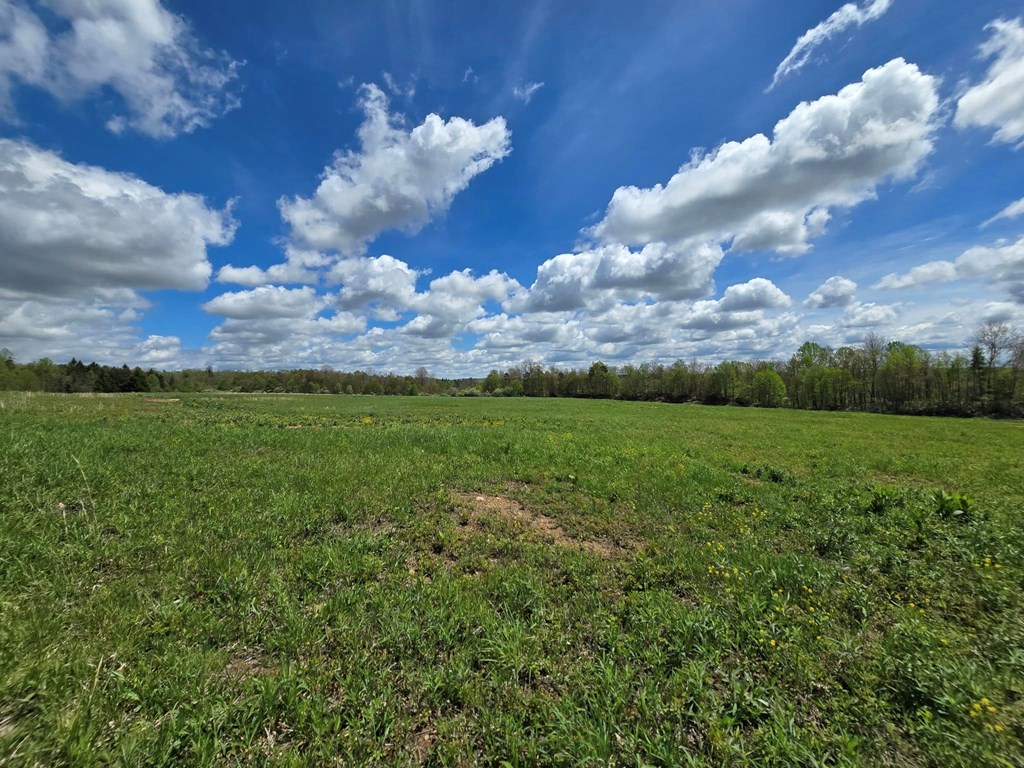 Lower Mudlic Rd, Mayport, Pennsylvania image 13