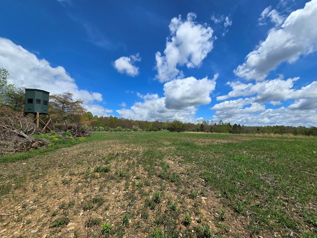 Lower Mudlic Rd, Mayport, Pennsylvania image 14
