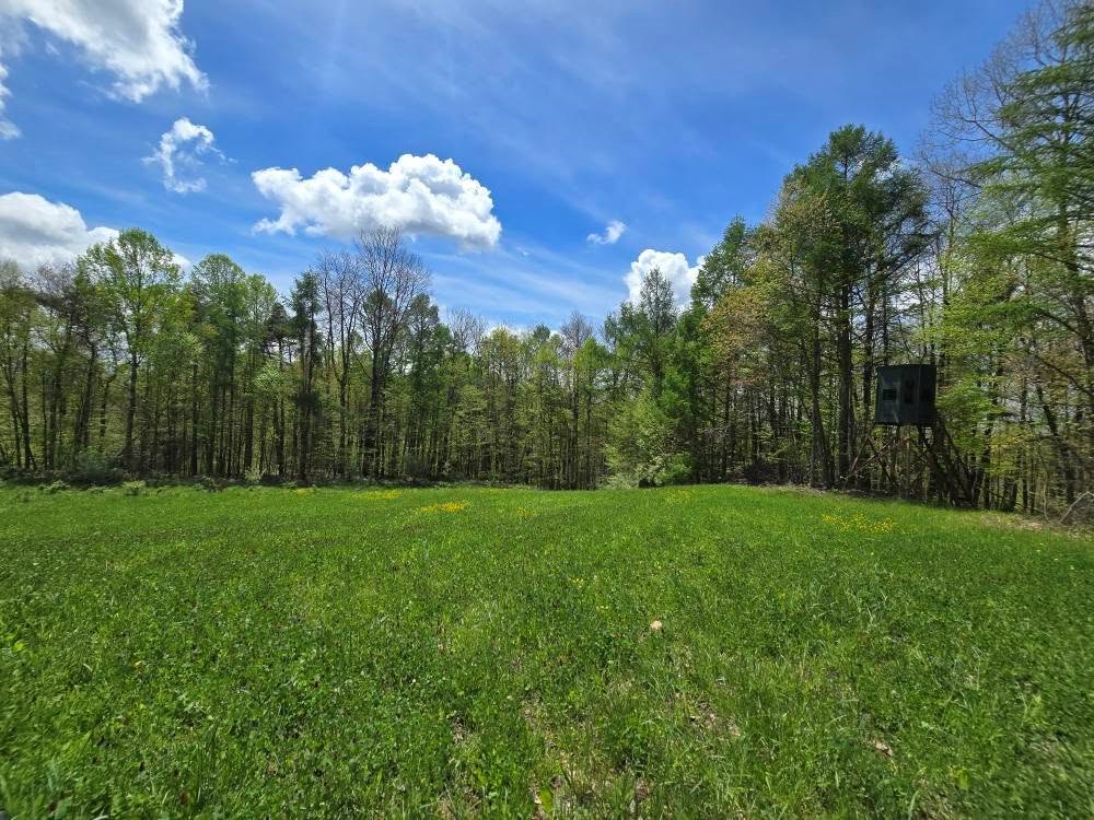 Lower Mudlic Rd, Mayport, Pennsylvania image 16