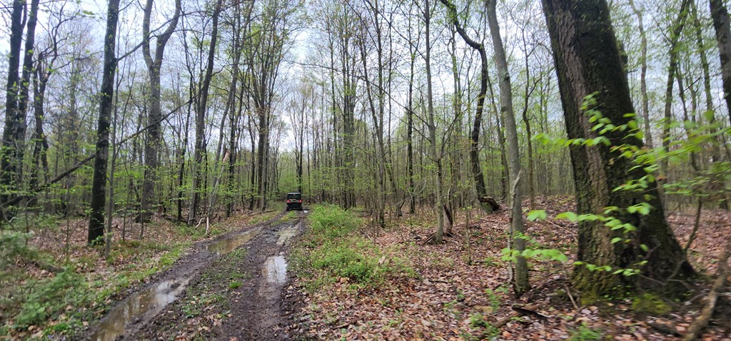 Lower Mudlic Rd, Mayport, Pennsylvania image 25