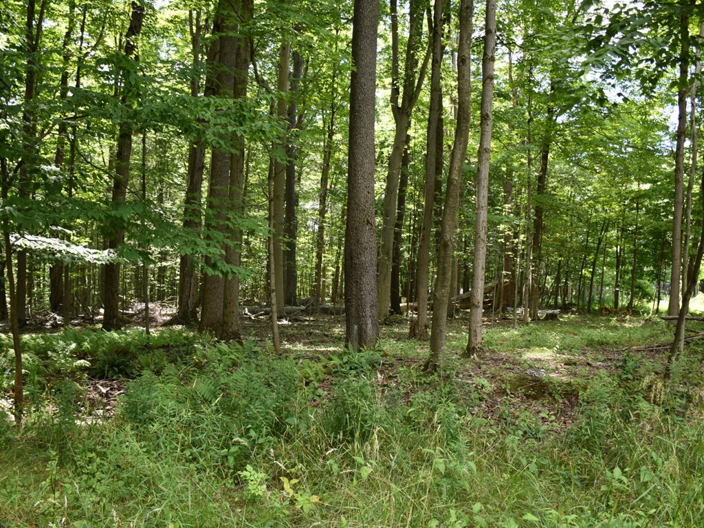 10312 Perry Highway, Meadville, Pennsylvania image 5