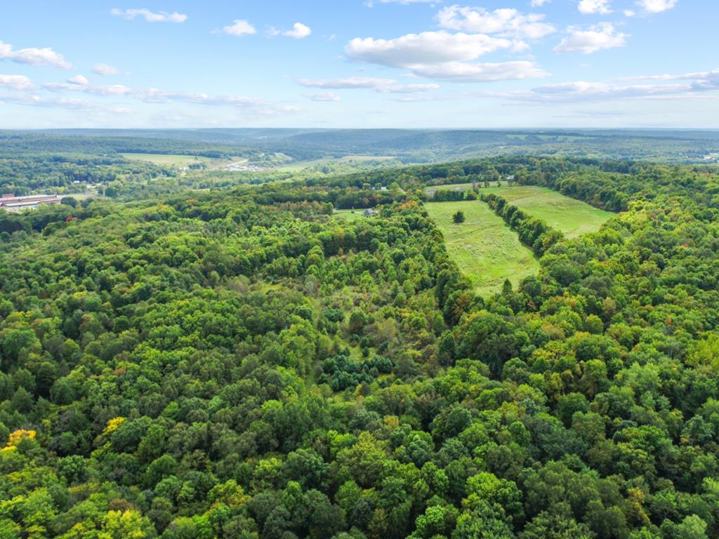 16659 S. Mead Road, Saegertown, Pennsylvania image 33