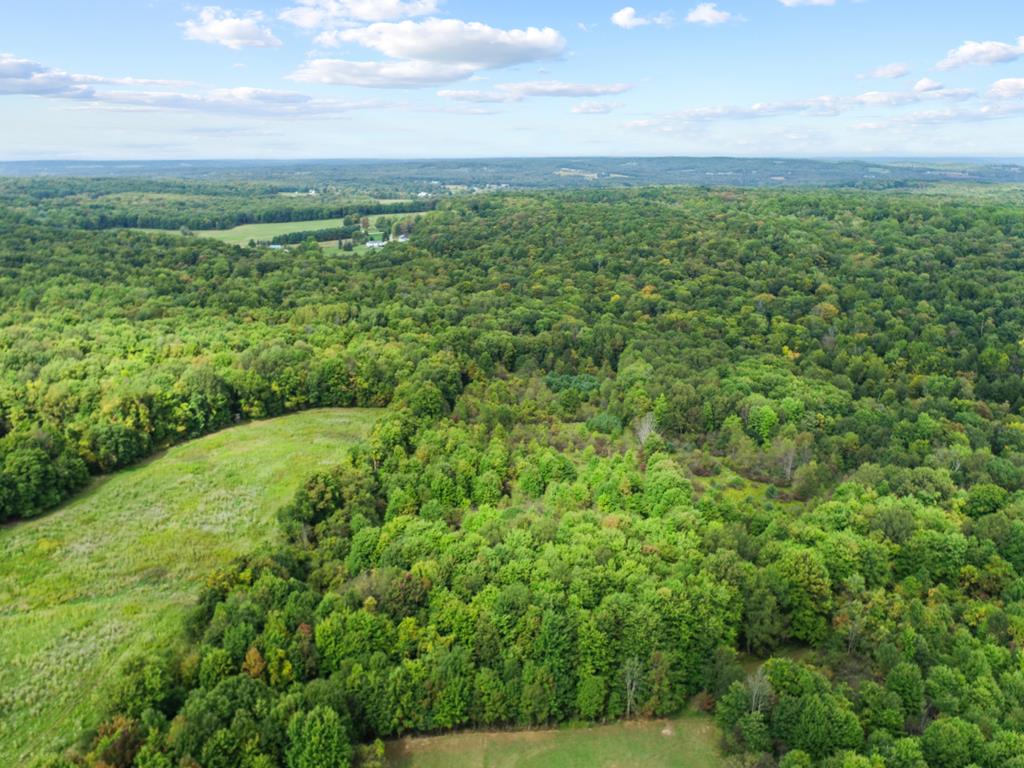 16659 S. Mead Road, Saegertown, Pennsylvania image 35