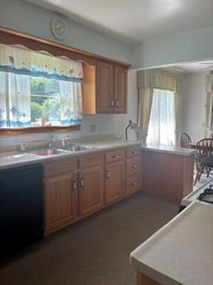 Photo for 310 Lamberton