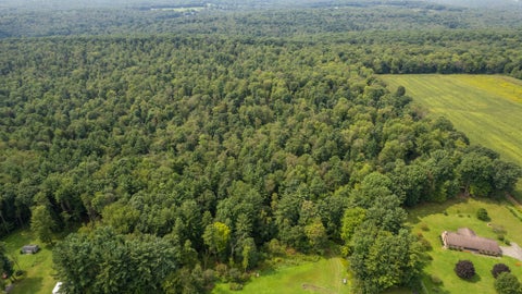 Vacant Land For Sale - Hemlock Drive<br/> Clarion County, Marble, PA 16334