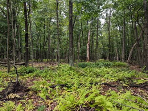 Vacant Land For Sale - 873 Burns Road<br/> Venango County, Venus, PA 16364