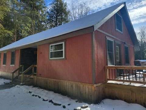 Homes For Sale - 225 Buck Run Road<br/> Forest County, Marienville, PA 16239