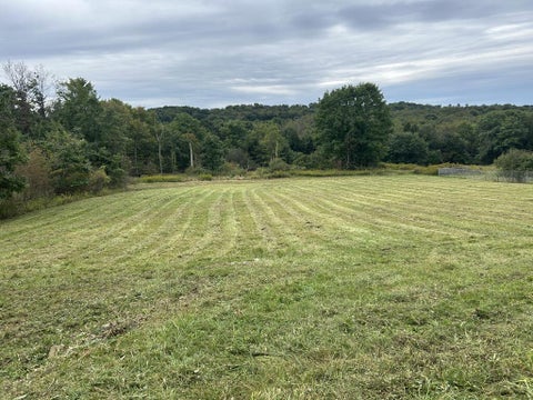 Vacant Land For Sale - . Route 322<br/> Clarion County, Shippenville, PA 16254